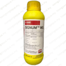 500G | Signum WG | BASF | RACUN KULAT