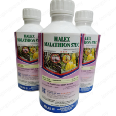 1L Halex Malathion 57EC  (Racun serangga yang berbau) Malathion